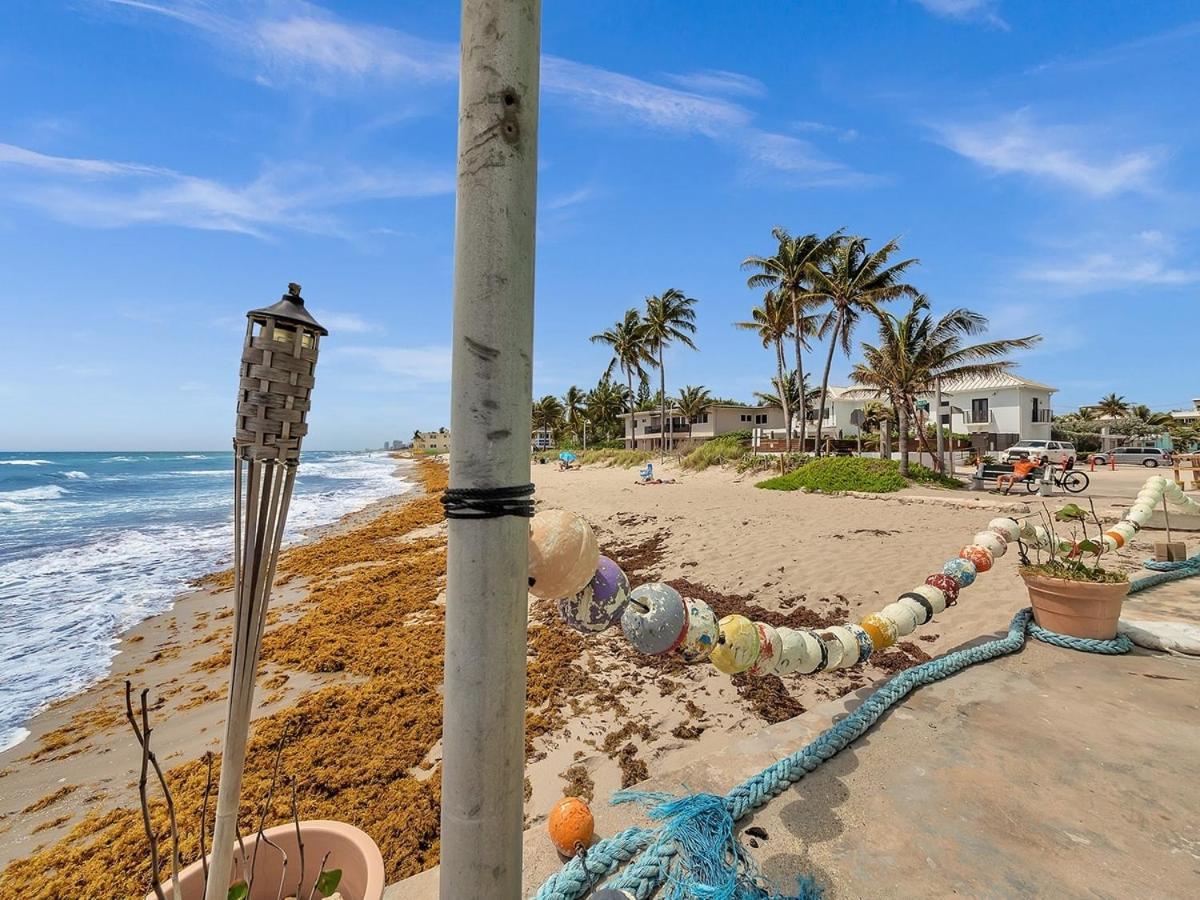 The Shell On Walnut Studio With Bath Hollywood Beach Free Parking Dania Beach Exterior foto